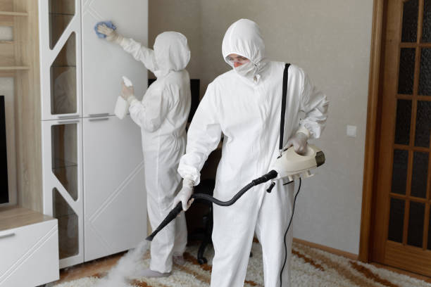 Certified Mold Removal in Coal Grove, OH