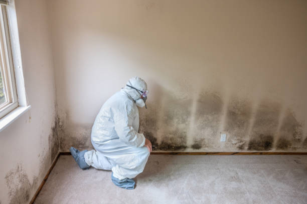Best Mold Testing  in Coal Grove, OH